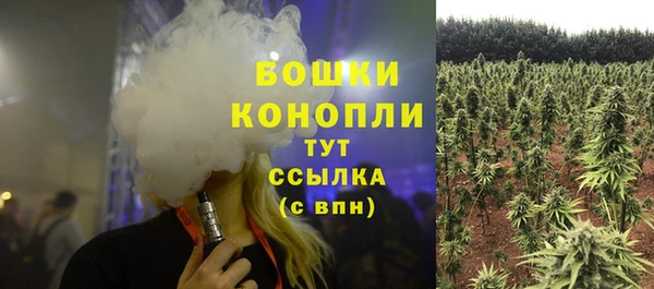 тгк Пролетарск