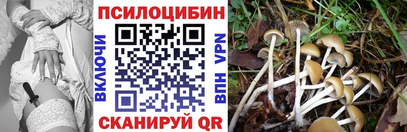Галлюциногенные грибы прущие грибы  Бугульма 